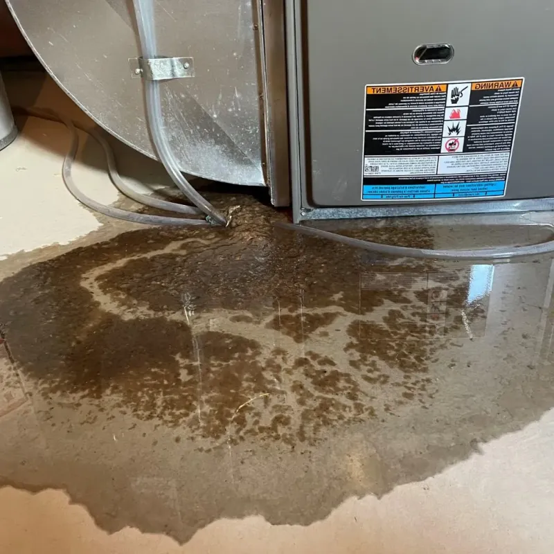 Pipe Burst and Leak Restoration in South Fallsburg, NY